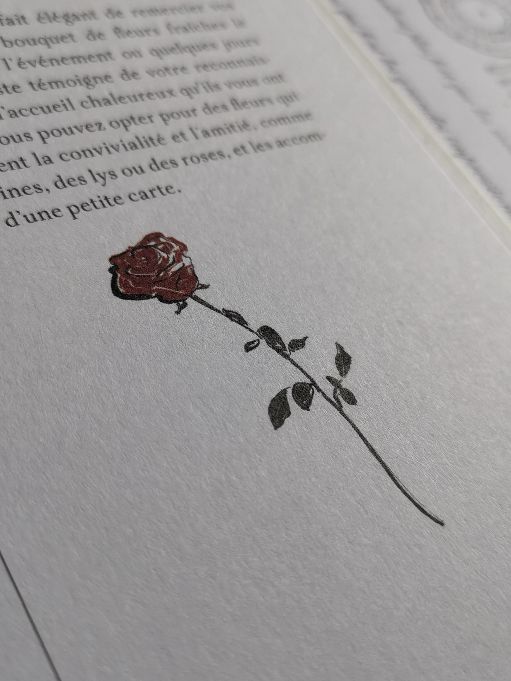 Illustrations du livre de Carmel Assa Kikambo aux Éditions Robert Laffont par l'illustratrice Margot Changeon